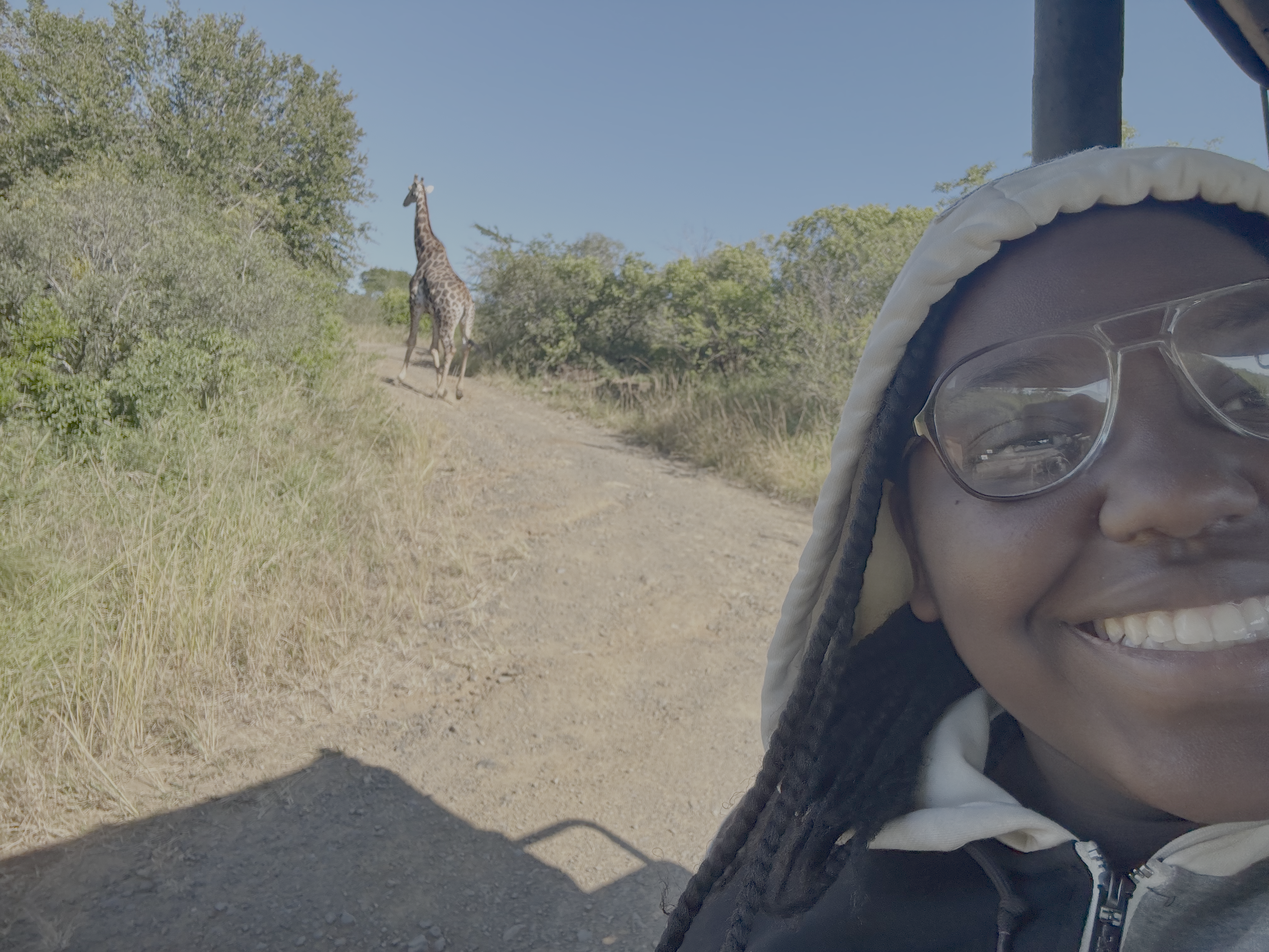 Giraffe Sighting!